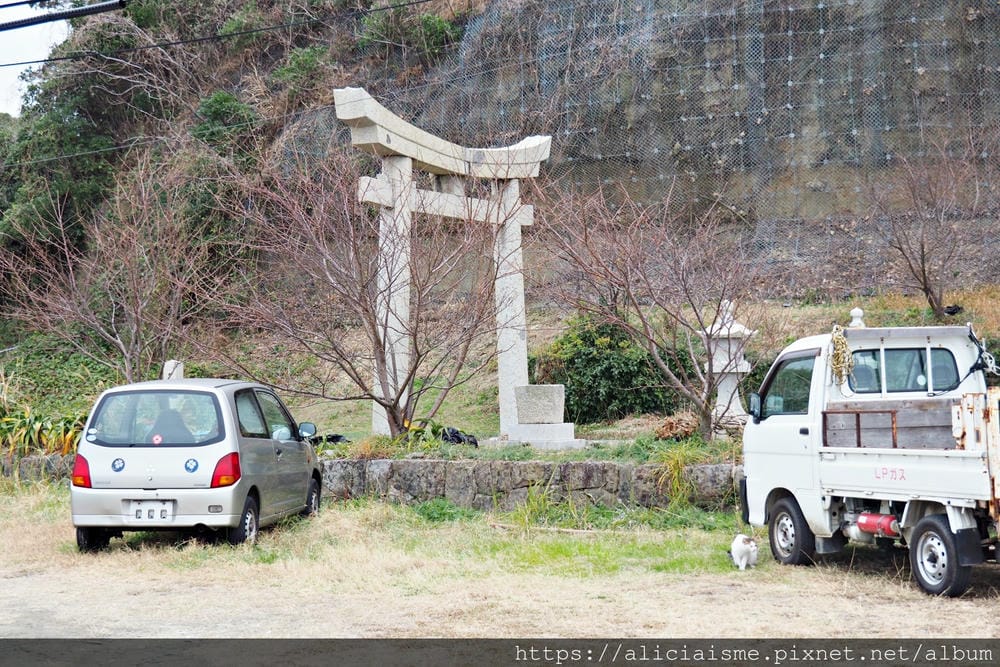 【福岡縣 | 小倉】藍島:一起跳島~來到喵星人的療癒星球吧!
