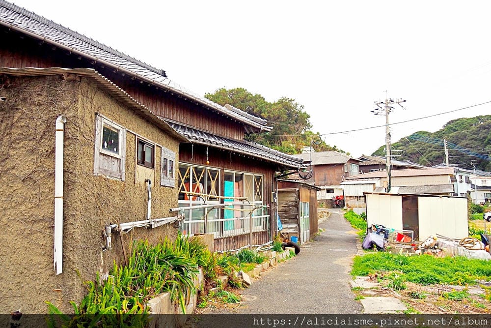 【福岡縣 | 小倉】藍島:一起跳島~來到喵星人的療癒星球吧!