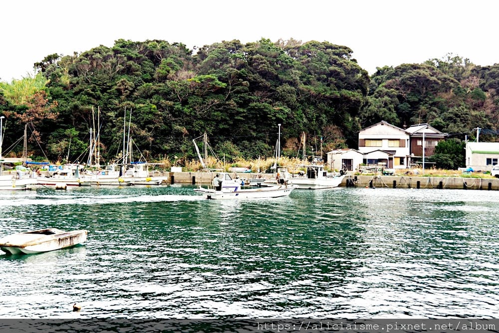 【福岡縣 | 小倉】藍島:一起跳島~來到喵星人的療癒星球吧!