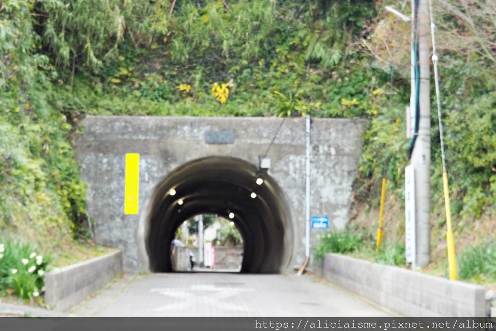 【福岡縣 | 小倉】藍島:一起跳島~來到喵星人的療癒星球吧!