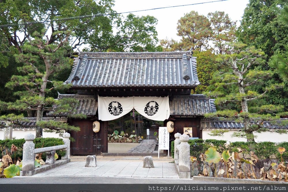 【岡山縣】曹源寺：90%外國和尚修行的秘境之地