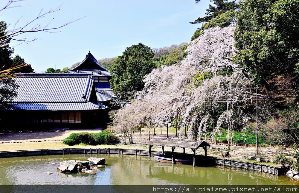 【岡山縣】曹源寺：90%外國和尚修行的秘境之地