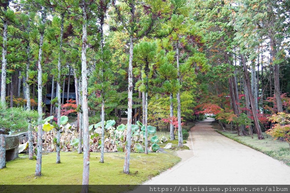 【岡山縣】曹源寺：90%外國和尚修行的秘境之地