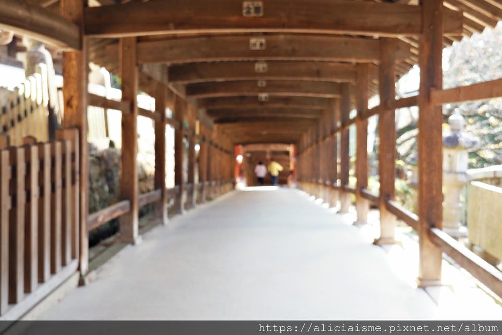 【岡山縣】吉備津神社：400多年的「鳴釜神事」，一揭桃太郎神社原型、欣賞日本唯一吉備津造社殿、木造迴廊