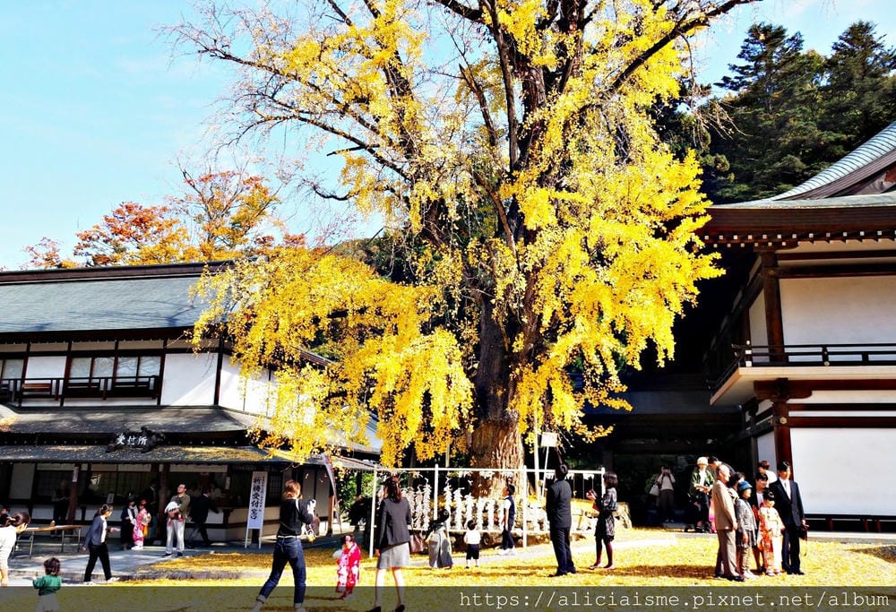 【岡山縣】吉備津神社：400多年的「鳴釜神事」，一揭桃太郎神社原型、欣賞日本唯一吉備津造社殿、木造迴廊