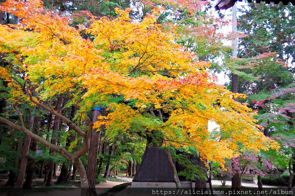 【岡山縣】曹源寺：90%外國和尚修行的秘境之地