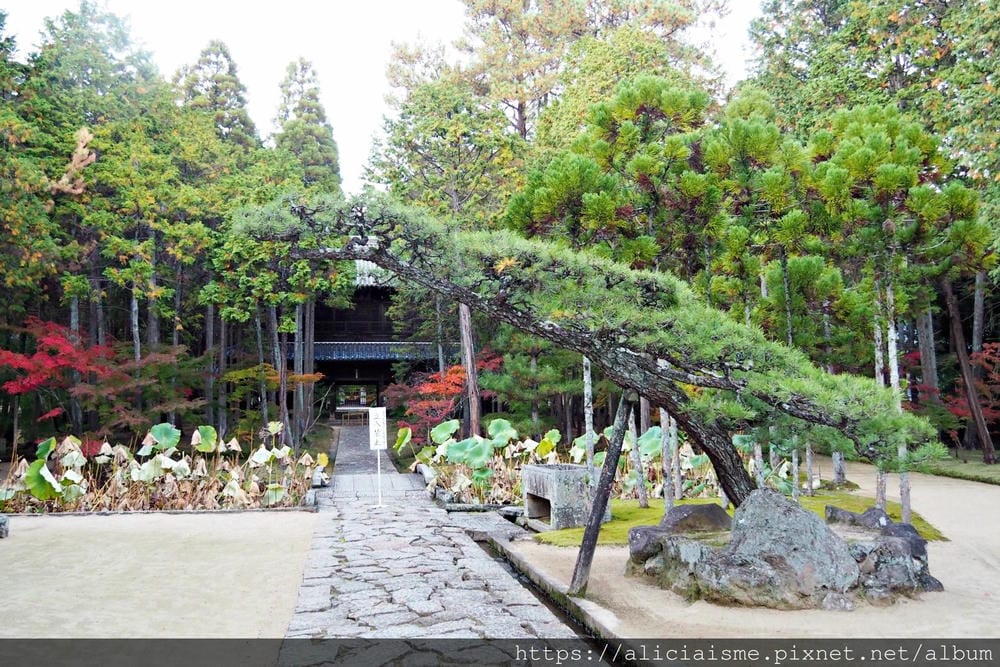 【岡山縣】曹源寺：90%外國和尚修行的秘境之地