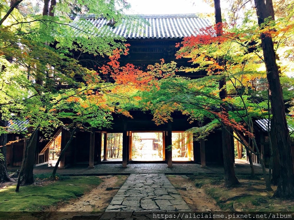 【岡山縣】曹源寺：90%外國和尚修行的秘境之地