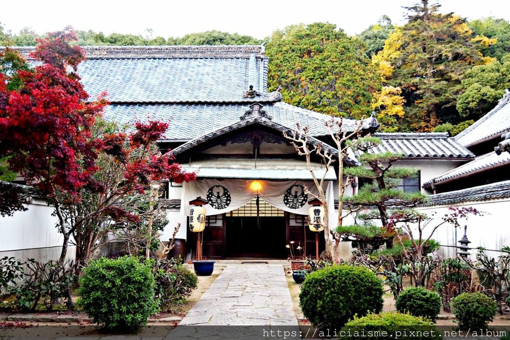 【岡山縣】曹源寺：90%外國和尚修行的秘境之地