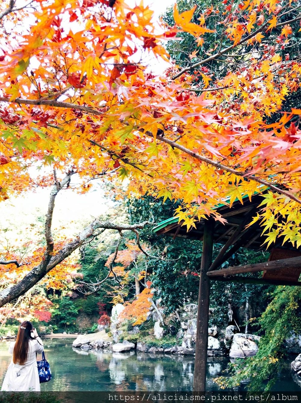 【岡山縣】曹源寺：90%外國和尚修行的秘境之地