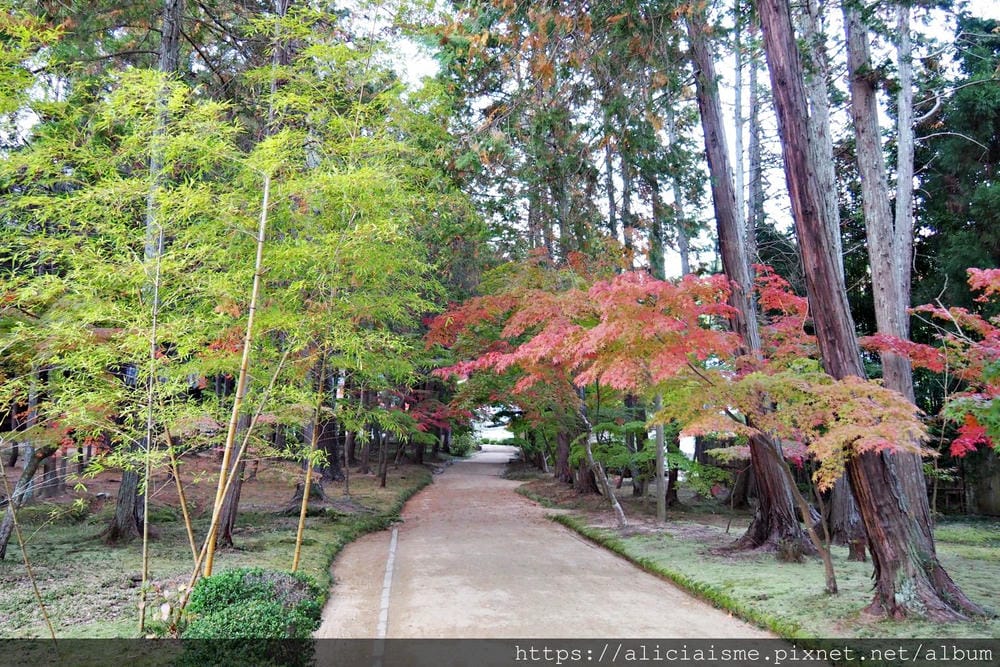 【岡山縣】曹源寺：90%外國和尚修行的秘境之地