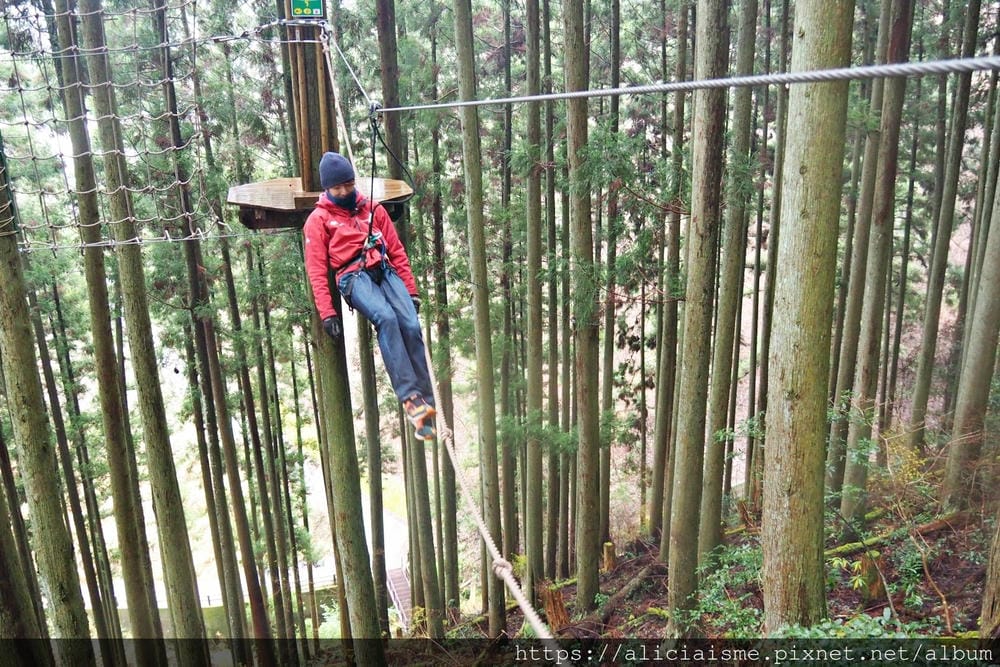 【Forest Adventure冒險之森】飛翔在祖谷之森裡，如鳥般飛躍森林及祖谷溪