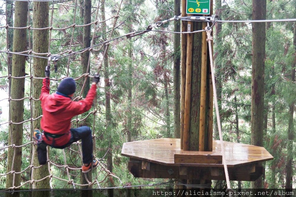 【Forest Adventure冒險之森】飛翔在祖谷之森裡，如鳥般飛躍森林及祖谷溪