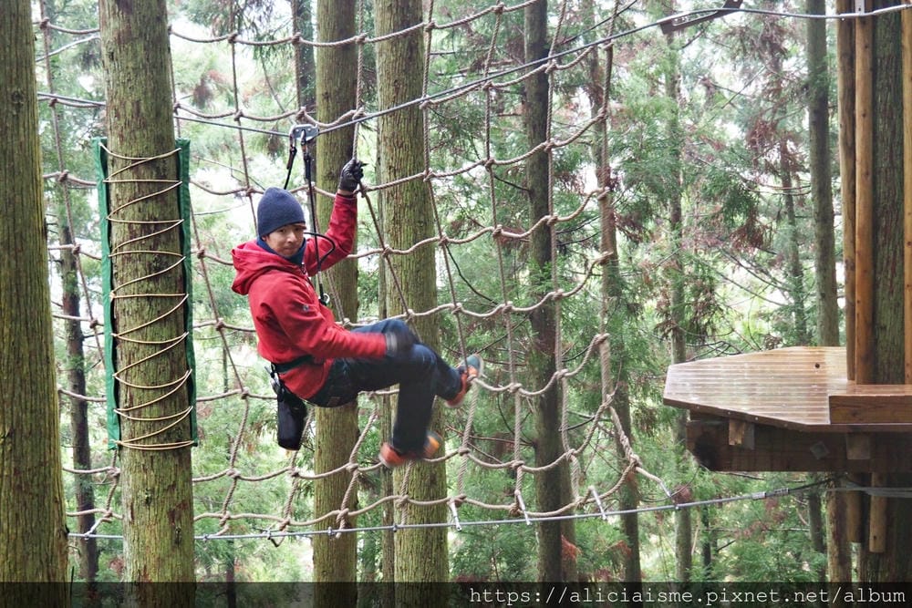 【Forest Adventure冒險之森】飛翔在祖谷之森裡，如鳥般飛躍森林及祖谷溪