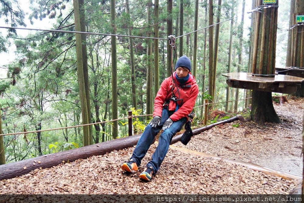 【Forest Adventure冒險之森】飛翔在祖谷之森裡，如鳥般飛躍森林及祖谷溪