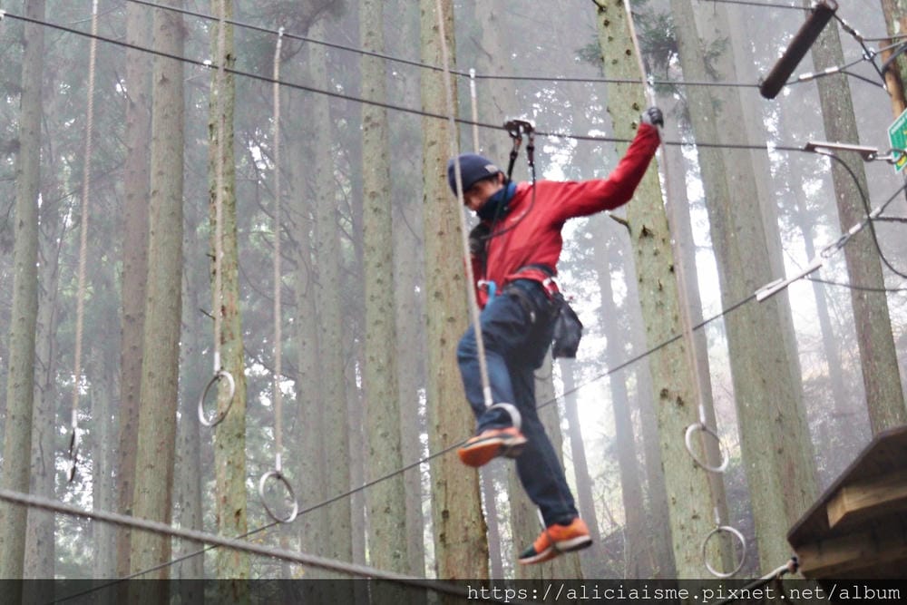 【Forest Adventure冒險之森】飛翔在祖谷之森裡，如鳥般飛躍森林及祖谷溪