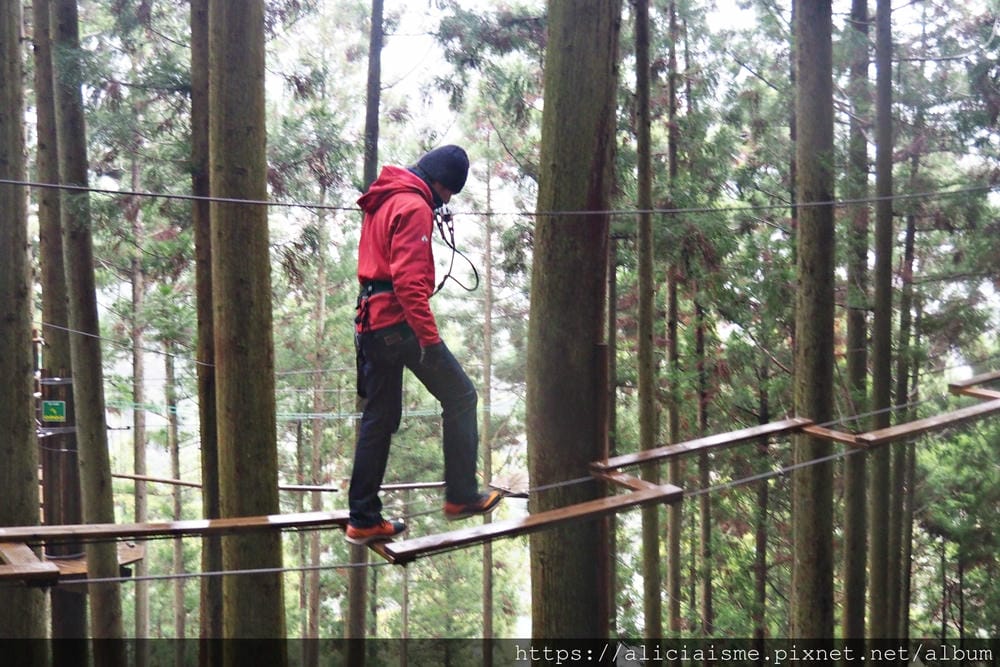 【Forest Adventure冒險之森】飛翔在祖谷之森裡，如鳥般飛躍森林及祖谷溪