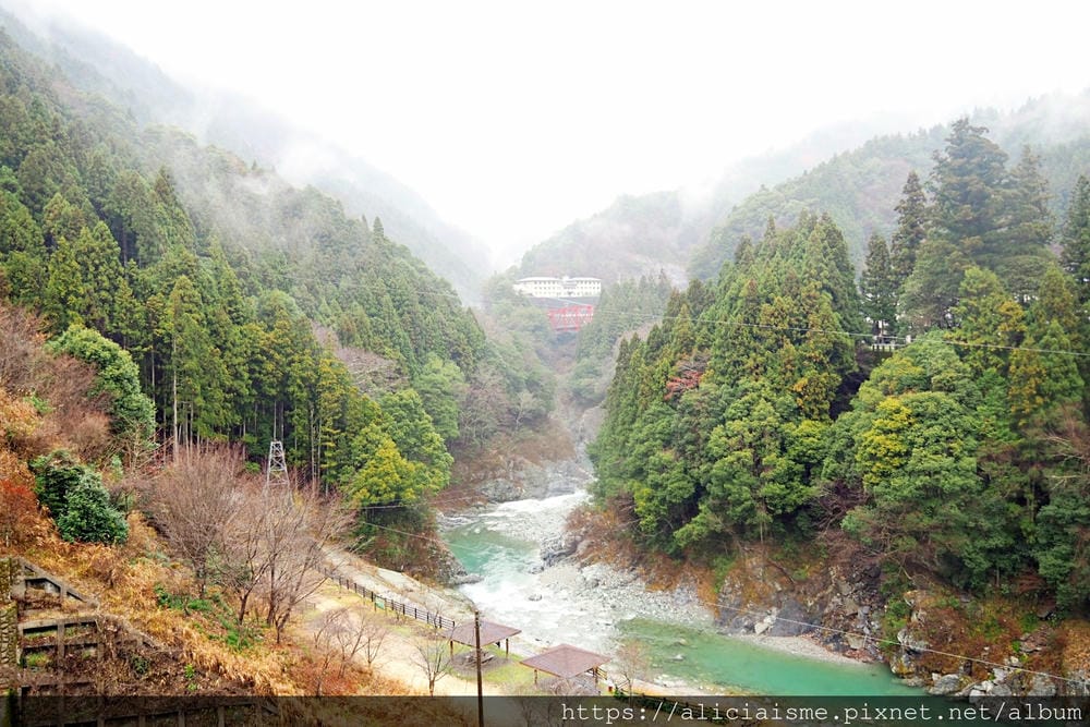 【Forest Adventure冒險之森】飛翔在祖谷之森裡，如鳥般飛躍森林及祖谷溪