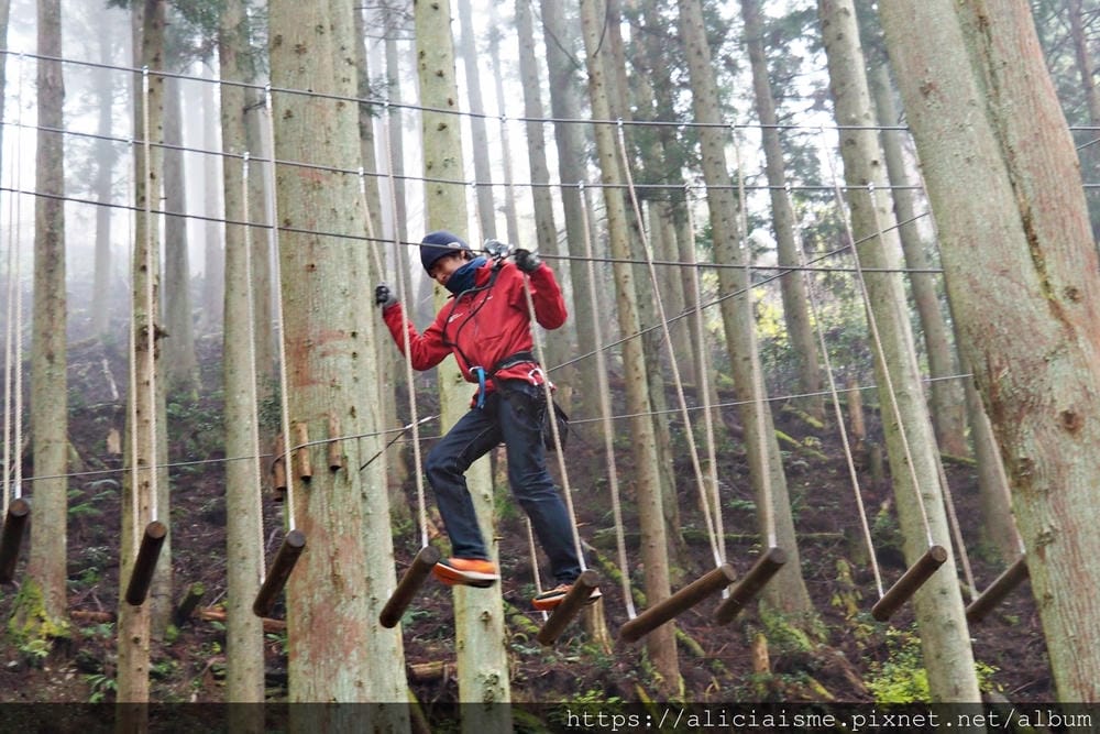 【Forest Adventure冒險之森】飛翔在祖谷之森裡，如鳥般飛躍森林及祖谷溪