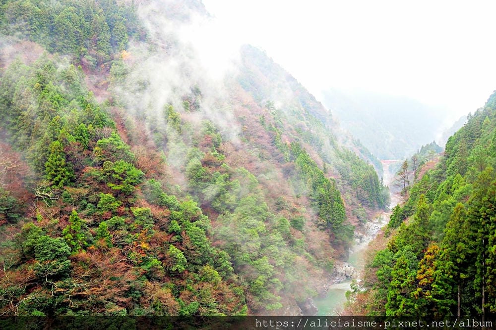 【四國X德島德】搭乘觀光列車，走訪人文歷史X絕景秘境，還有飛躍祖谷的動感之旅