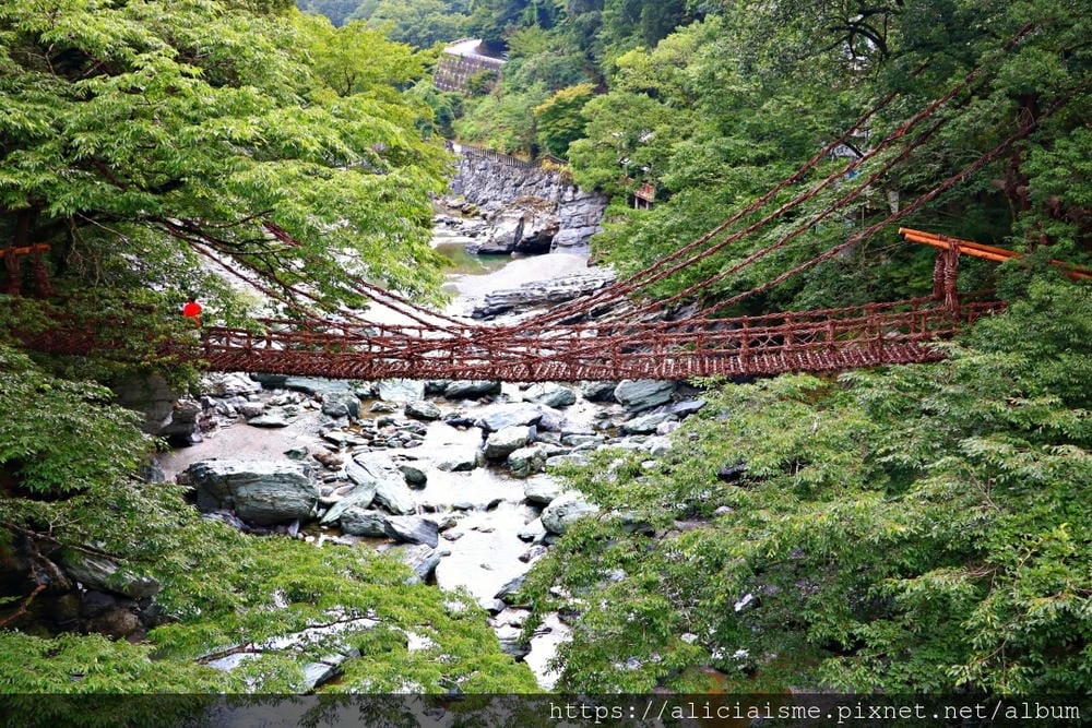 【四國X德島德】搭乘觀光列車，走訪人文歷史X絕景秘境，還有飛躍祖谷的動感之旅