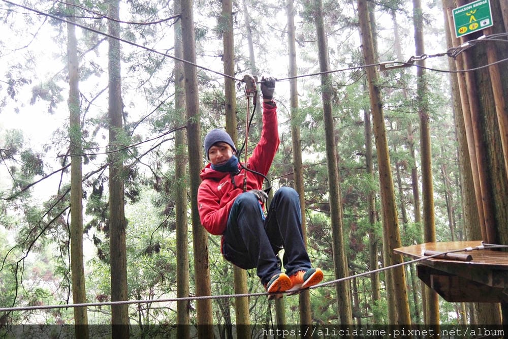 【Forest Adventure冒險之森】飛翔在祖谷之森裡，如鳥般飛躍森林及祖谷溪