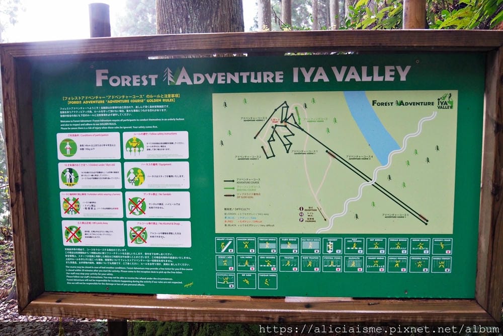 【Forest Adventure冒險之森】飛翔在祖谷之森裡，如鳥般飛躍森林及祖谷溪