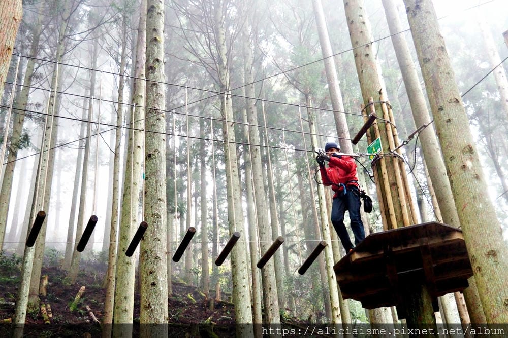 【Forest Adventure冒險之森】飛翔在祖谷之森裡，如鳥般飛躍森林及祖谷溪