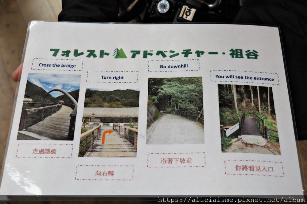 【Forest Adventure冒險之森】飛翔在祖谷之森裡，如鳥般飛躍森林及祖谷溪