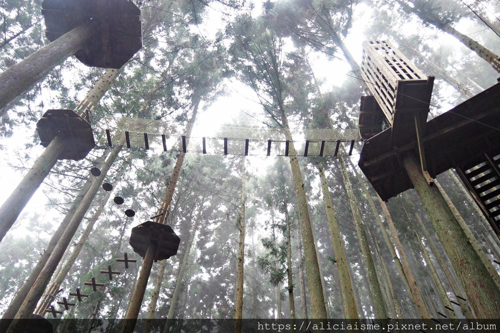 【Forest Adventure冒險之森】飛翔在祖谷之森裡，如鳥般飛躍森林及祖谷溪