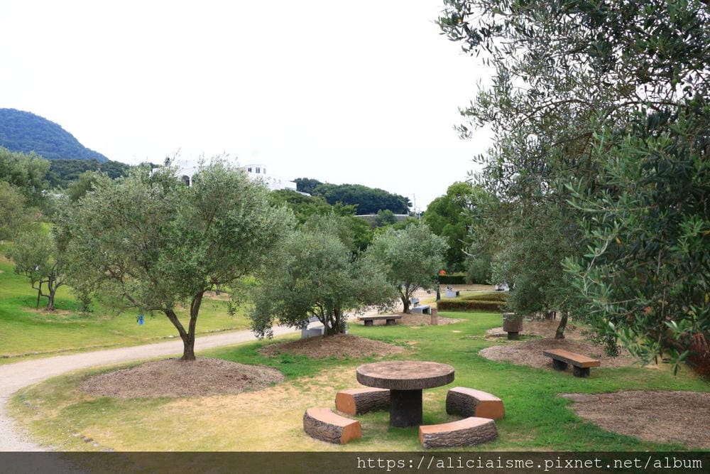 【香川縣 | 小豆島】小豆島橄欖公園：在地中海風情裡，烙印專屬的心型葉、跟琪琪一起乘魔法掃帚飛天吧！