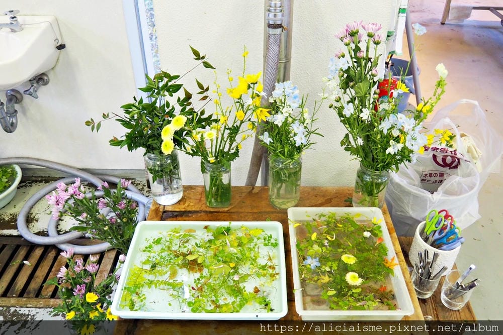 【高知縣】土佐和紙工藝村 くらうど（QRAUD）：自製、設計花草療癒風的和紙，來一趟大自然與傳統工藝、美食與藝術的心靈慢旅