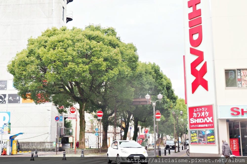 【高知縣】弘人市場、夜晚屋台、日曜市～高知市3大限定景點，體驗最好玩、最在地的庶民美食、飲酒文化