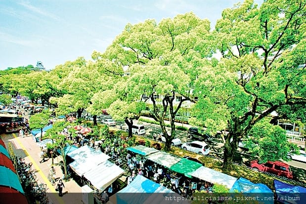 【高知縣】弘人市場、夜晚屋台、日曜市～高知市3大限定景點，體驗最好玩、最在地的庶民美食、飲酒文化