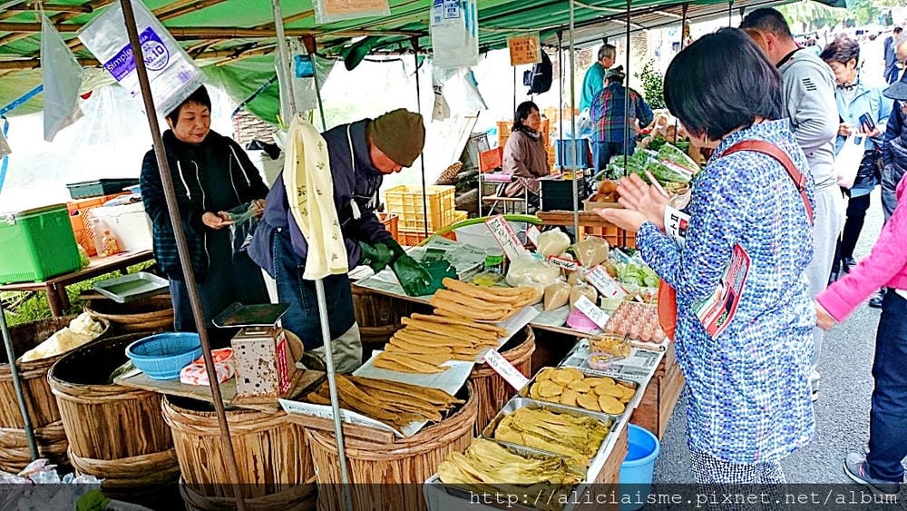 【高知縣】自然絕景X 建築美學 X 傳統工藝 X 庶民文化:高知私房景點、美食、伴手禮及4天3夜行程規劃建議