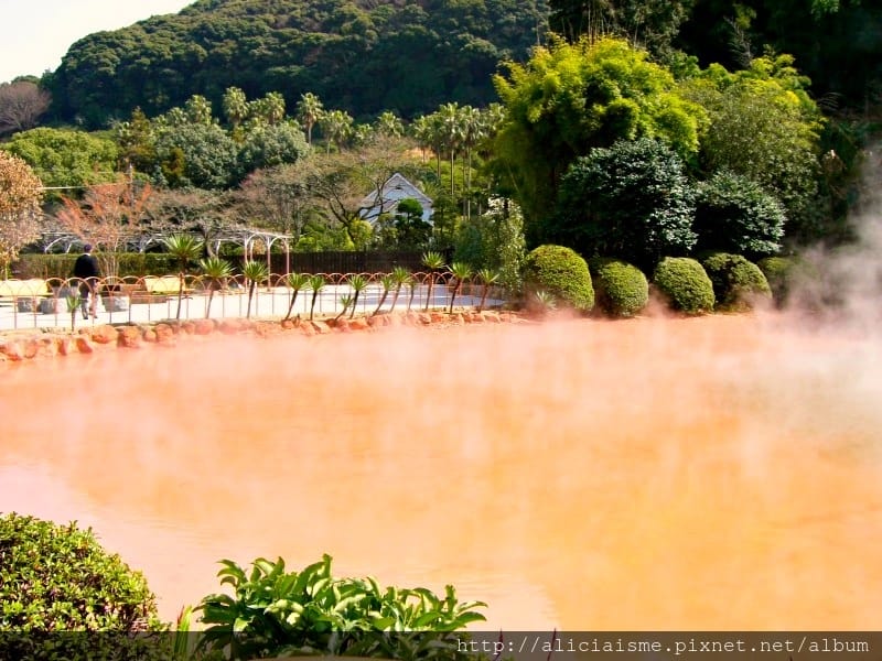 【大分縣】別府八湯、地獄七湯巡禮及湯煙展望台（含交通及住宿）