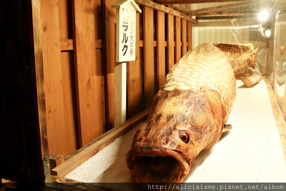 【大分縣】別府地獄七湯總巡禮:夢幻海地獄、洗錢血池地獄、奇景龍捲地獄、唯美白池地獄、鱷魚世界鬼山地獄、鬼石坊主地獄、灶地獄