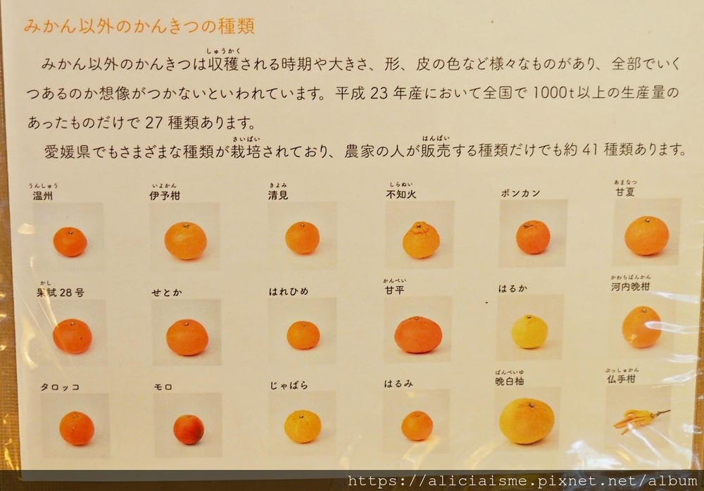 【愛媛縣】10 FACTORY:當季現榨蜜柑汁、三款試飲組、蜜柑啤酒、冰淇淋⋯⋯蜜柑專門店裡的10大好喝秘密