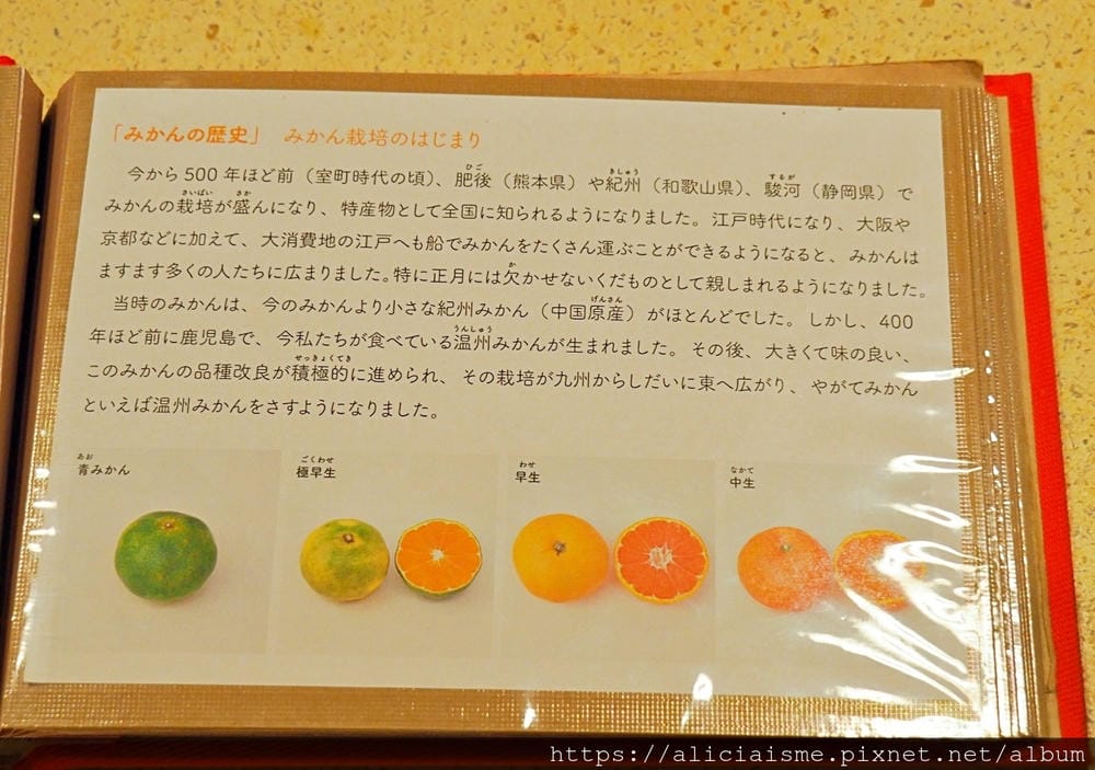 【愛媛縣】10 FACTORY:當季現榨蜜柑汁、三款試飲組、蜜柑啤酒、冰淇淋⋯⋯蜜柑專門店裡的10大好喝秘密