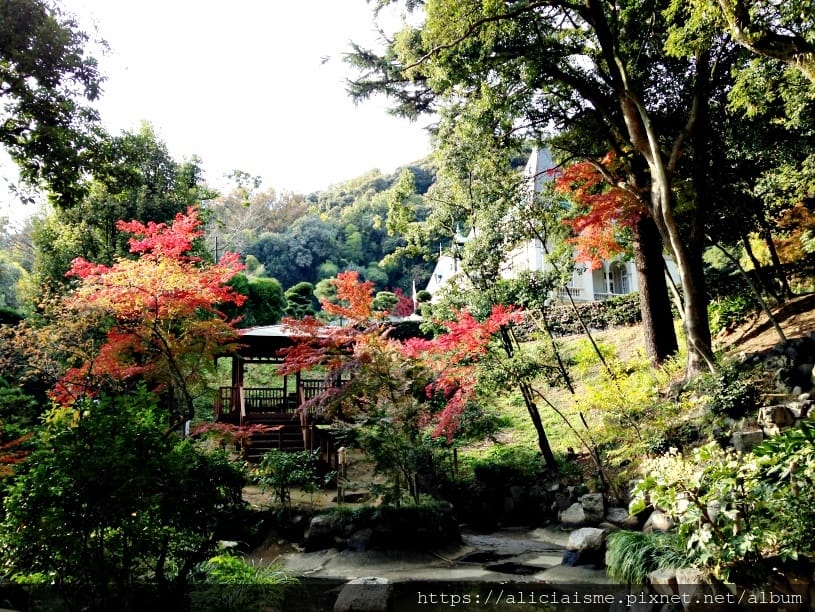【愛媛縣 | 松山市】安藤忠雄X坂上之雲博物館:最美的人文薈 【愛媛縣 | 松山市】安藤忠雄X坂上之雲博物館:最美的人文薈