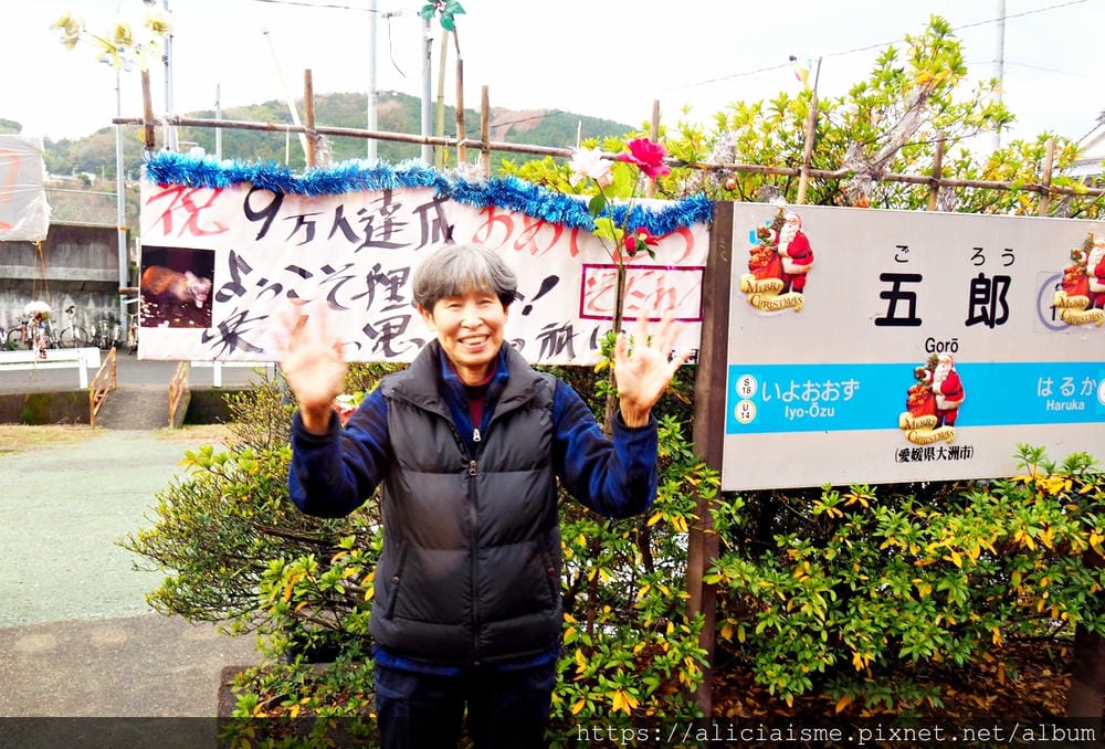 【四國X愛媛縣】搭乘觀光列車，走訪人文松山X內子町老街X千年古湯美學、美食之旅