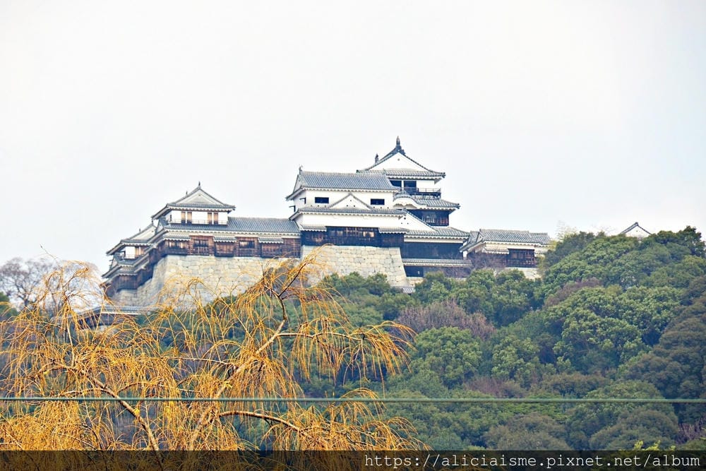 【四國X愛媛縣】搭乘觀光列車,走訪人文松山X內子町老街X千年古湯美學、美食之旅