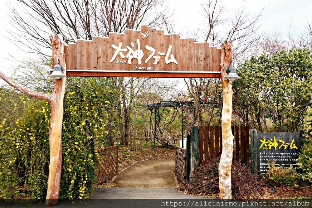 【大分縣 | 日出町 】大神農場：別府灣、森林與四季絕美花田、一嚐農產自給自足的療癒甜點