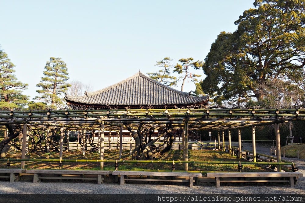 【京都府 | 宇治】世界遺產「平等院」～完全對稱的平安式淨土建築、庭園美學之宇治散策