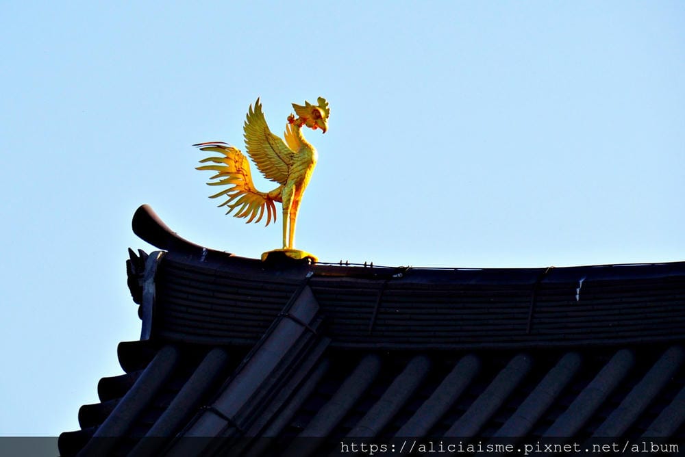 【京都府 | 宇治】世界遺產「平等院」～完全對稱的平安式淨土建築、庭園美學之宇治散策