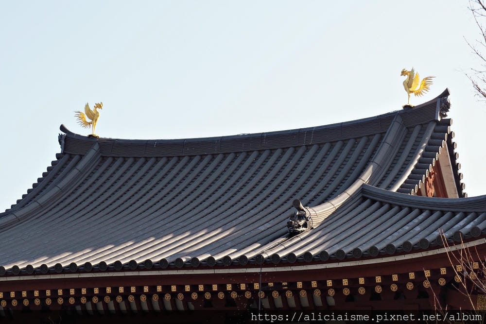 【京都府 | 宇治】世界遺產「平等院」～完全對稱的平安式淨土建築、庭園美學之宇治散策