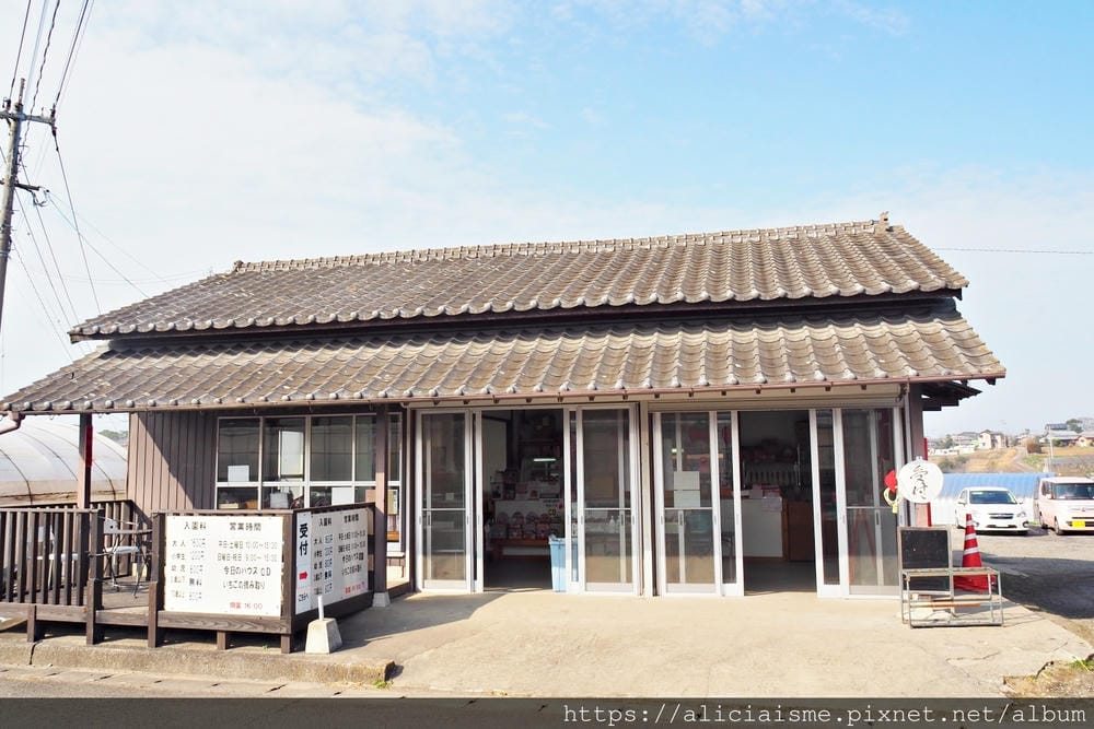 【大分縣 | 宇佐市】ACT草莓農園:西日本最大規模草莓園,10大特色品種,無時間限制吃到飽(含宇佐市交通及單車租借)