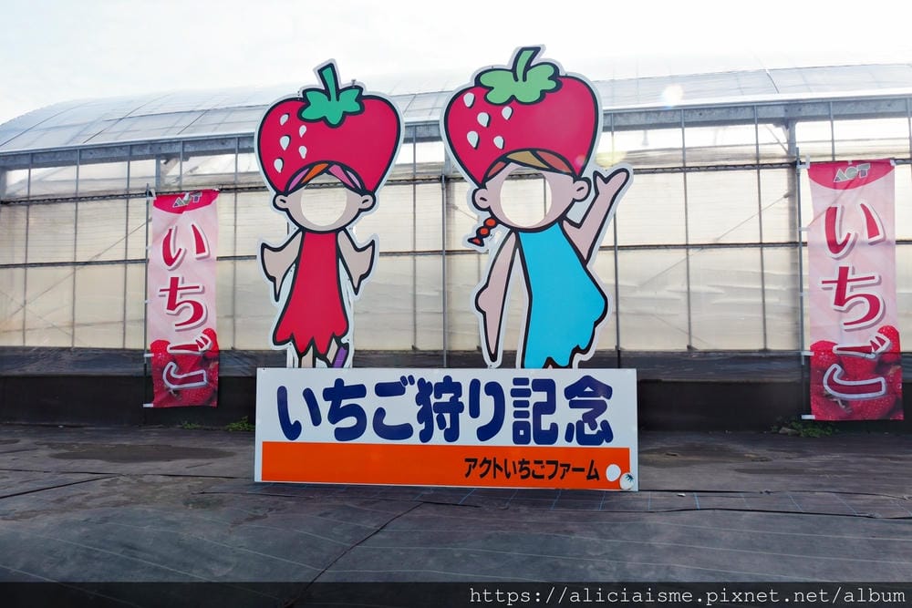 【大分縣 | 宇佐市】ACT草莓農園:西日本最大規模草莓園,10大特色品種,無時間限制吃到飽(含宇佐市交通及單車租借)