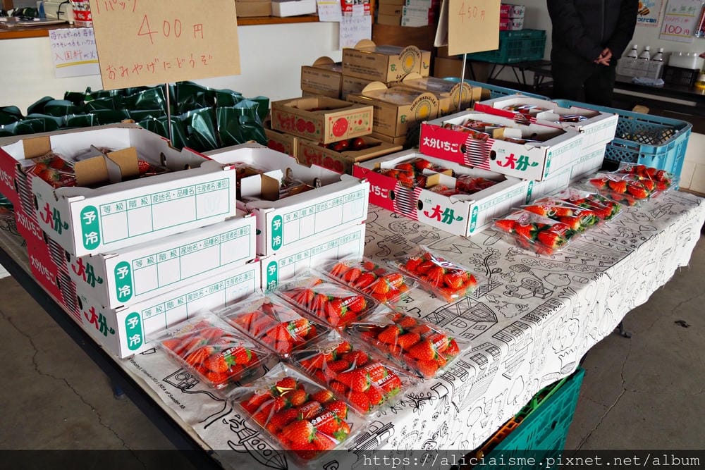 【大分縣 | 宇佐市】ACT草莓農園:西日本最大規模草莓園,10大特色品種,無時間限制吃到飽(含宇佐市交通及單車租借)