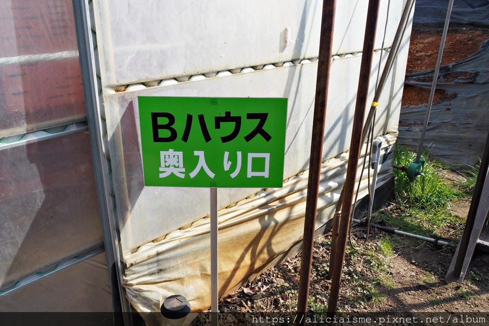 【大分縣 | 宇佐市】ACT草莓農園:西日本最大規模草莓園,10大特色品種,無時間限制吃到飽(含宇佐市交通及單車租借)